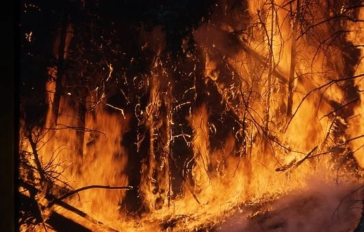 Смог от лесных пожаров накрыл столицу Якутии