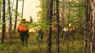 Режим ЧС вводят в двух районах Приангарья из-за лесных пожаров