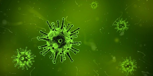 Китайские эпидемиологи назвали источник коронавируса