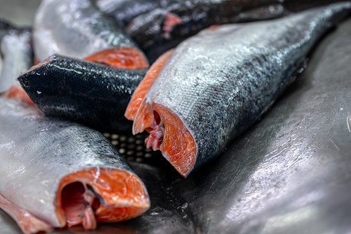 АО «Чукотский лосось» планирует произвести 600 тонн продукции