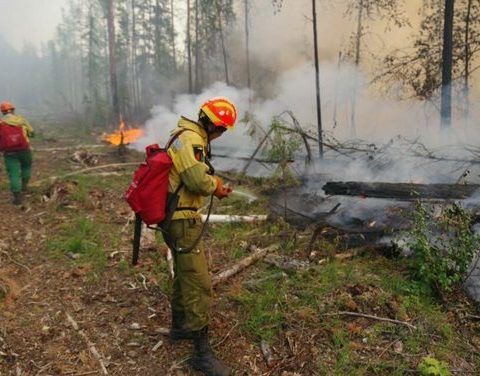 Загоревшееся от лесного пожара село в Якутии потушили