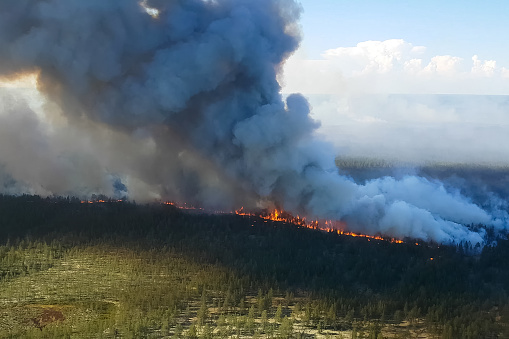 Опасность природных пожаров возрастет в мае в ряде регионов ДФО