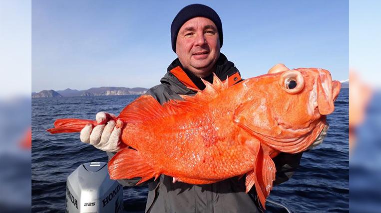 Рыба не выбирала: камчатским депутатам крупно повезло на рыбалке