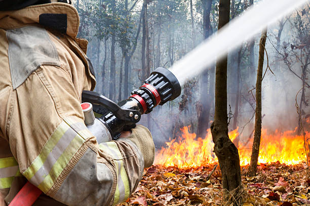 Дополнительные 1,5 млрд рублей выделят на борьбу с лесными пожарами