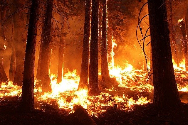 Группировку по тушению лесных пожаров усилили на Чукотке