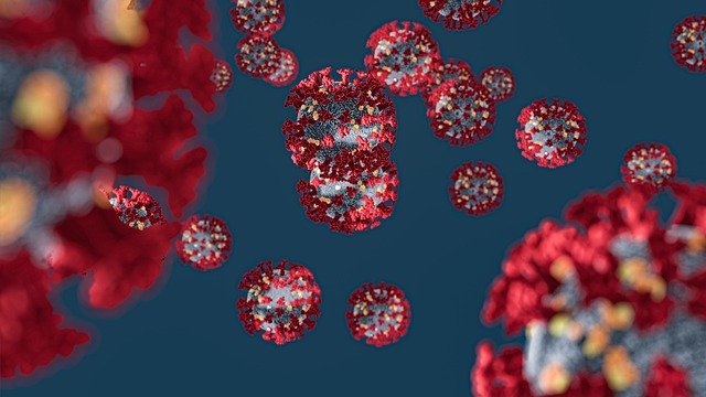 Более 340 новых случаев коронавируса зарегистрировали на Камчатке