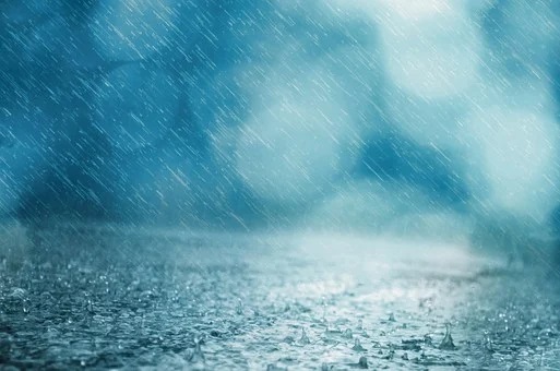 МЧС предупредило о сильных дождях в ЕАО