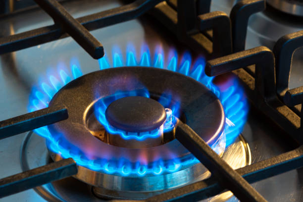 ФАС предложила повысить цены на газ