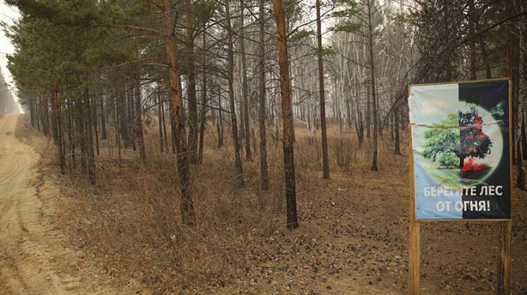 Незаконные рубки могли стать причиной лесных пожаров в Забайкалье