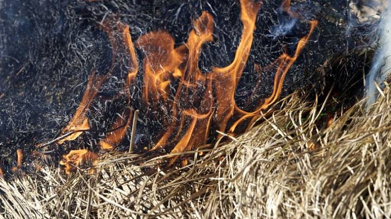 Штрафы за поджоги планируют увеличить в Забайкалье