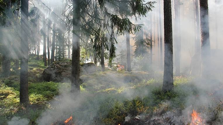 Режим ЧС ввели на севере Камчатки из-за 11 лесных пожаров