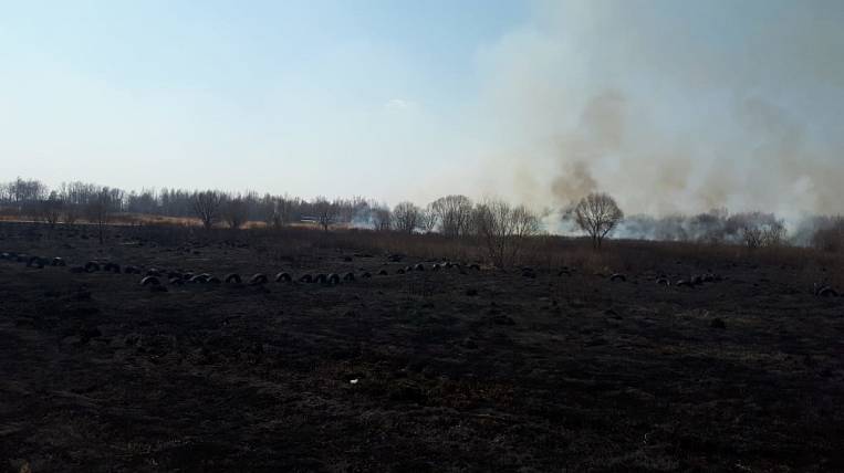 Аэродром назвал причину падения самолета вблизи Хабаровска