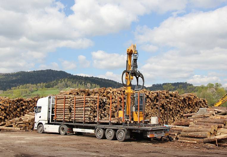 Темный лес: о новых убытках заявили лесопромышленники ДФО 