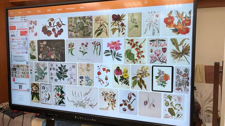 Юные камчатские художники создают работы для ботанического атласа 