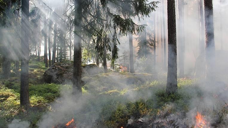 Увеличение количества лесных пожаров прогнозируют на Дальнем Востоке
