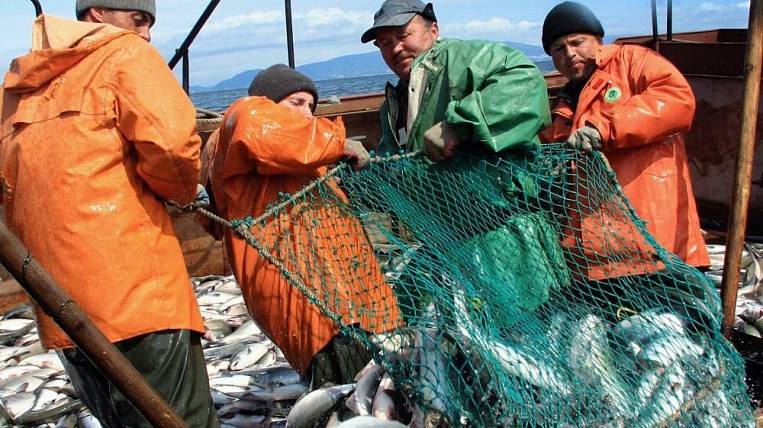 Вылов лососей в ДФО превысил показатели прошлого года на 27%