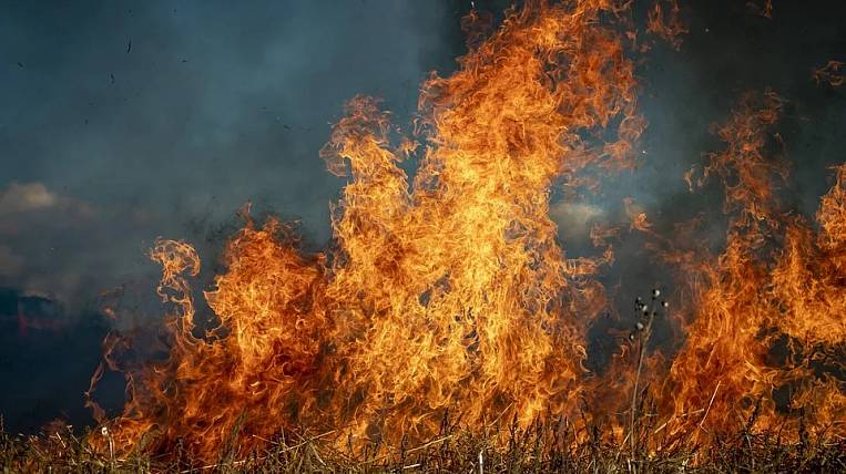Самые крупные лесные пожары в России зафиксированы в Амурской области 