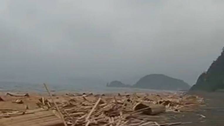 Тонны пиломатериалов завалили пляж в Приморье