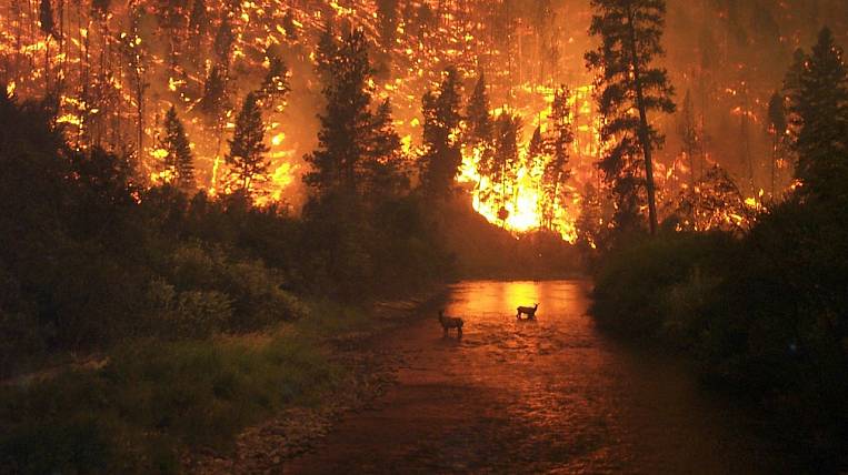 Режим ЧС из-за лесных пожаров ввели в районе в Иркутской области