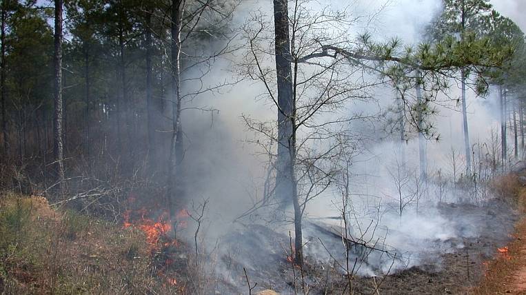 Пожароопасный сезон начался в Амурской области