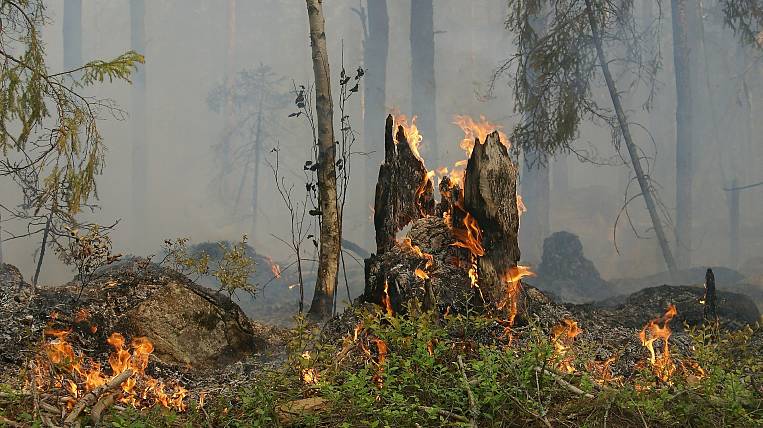 Больше 20 тыс. гектаров леса горит в Якутии