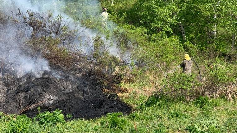 Режим ЧС ввели из-за лесного пожара в районе на Камчатке