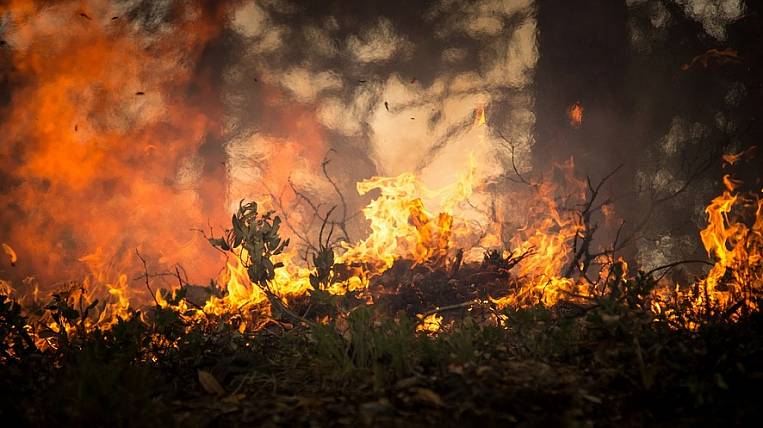 Особый противопожарный режим ввели в Хабаровске
