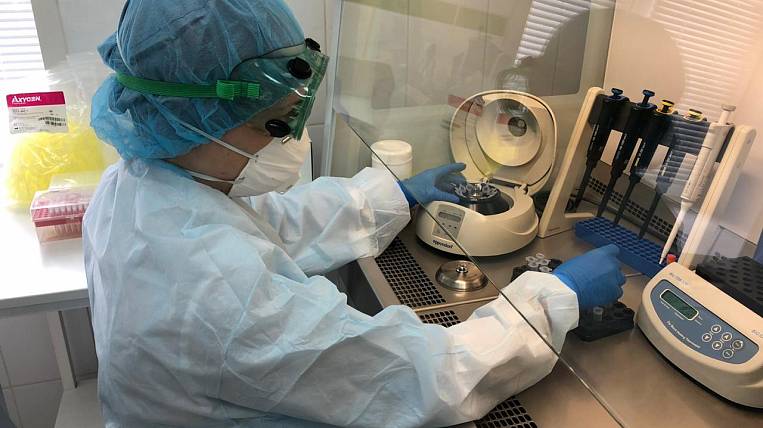 Пять новых случаев коронавируса подтвердили на Сахалине