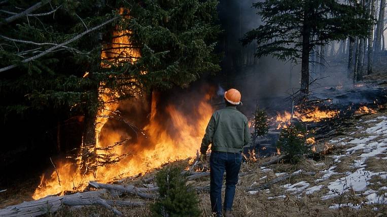 Региональный режим ЧС ввели из-за лесных пожаров в Якутии