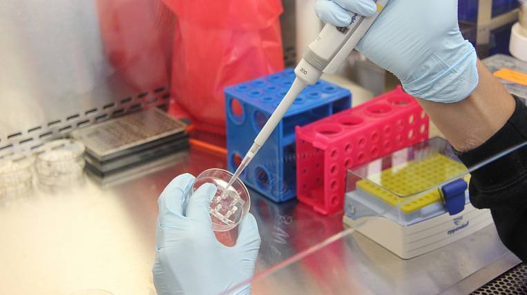 Количество случаев коронавируса возросло до 48 на Камчатке