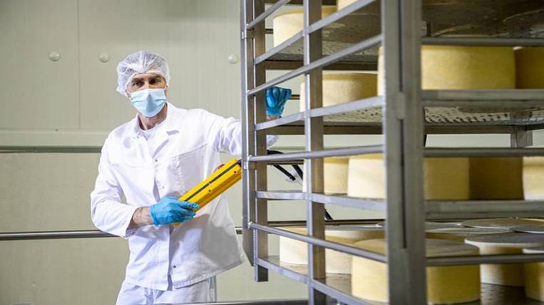 Промышленное производство сыра впервые запустили на Сахалине 