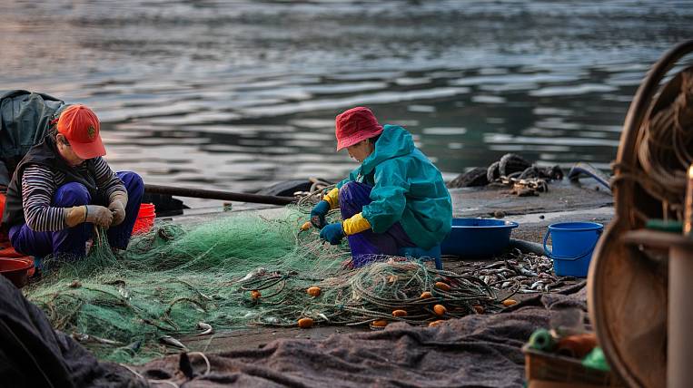Марикультурщики ДФО просят разрешения на разведение рыб в зоне промысла