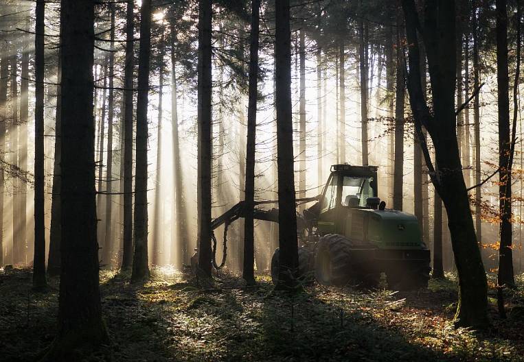 Бюллетень EastRussia: отраслевой обзор лесной промышленности ДФО