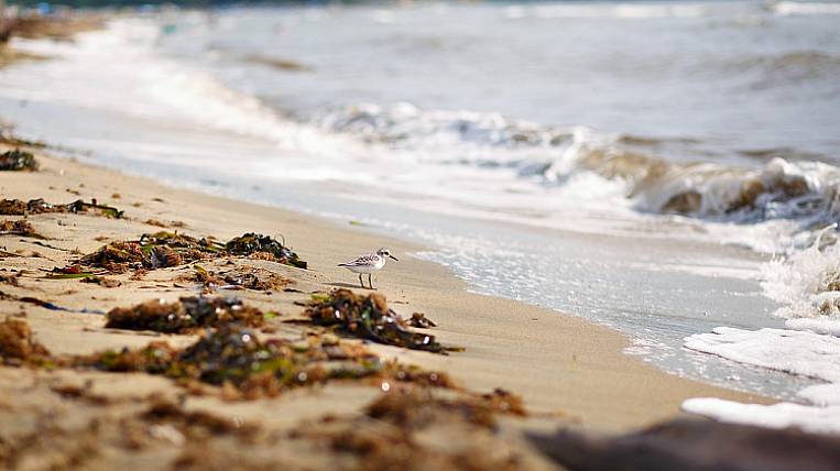 Пляжи  Приморья закроют из-за коронавируса