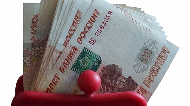 Более 30 млн рублей на доплаты бюджетникам получит ЕАО