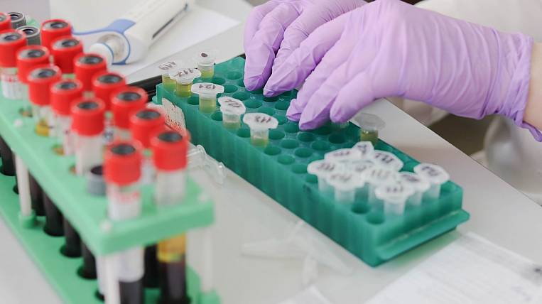 Больше 1,5 тыс. случаев коронавируса подтверждено в Приамурье