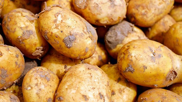 Производители предупредили о нехватке картофеля в 2022 году