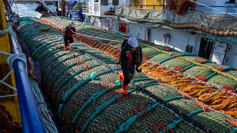 Более 2,8 млн тонн рыбы и морепродуктов добыли в ДФО
