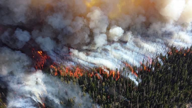 Крупный лесной пожар тушат в заповеднике в Хабаровском крае