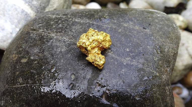 Старатели попались на незаконной добыче золота в Якутии