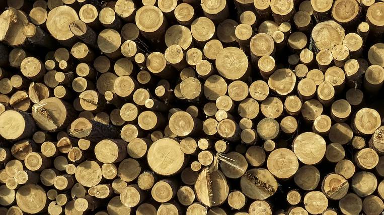 В Бурятии возбуждено еще одно уголовное дело о контрабанде древесины