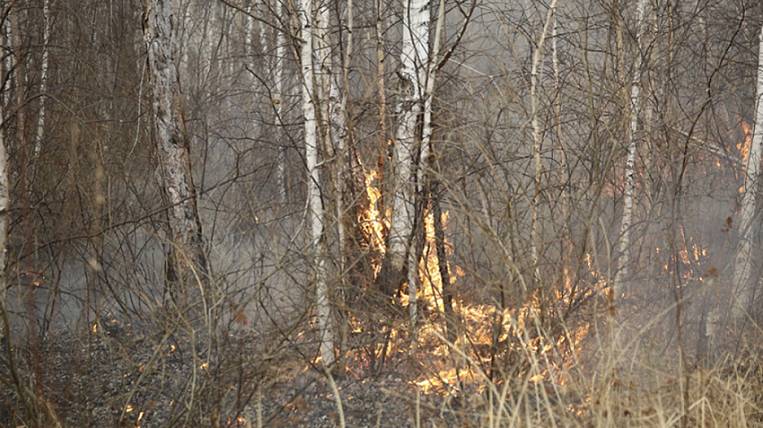 Пожарные-парашютисты будут тушить леса в Забайкалье