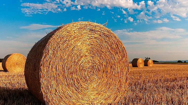 Сельскому хозяйству Якутии добавят 2,6 млрд рублей