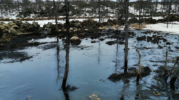 Экологи: на севере Сахалина произошел опасный разлив нефти